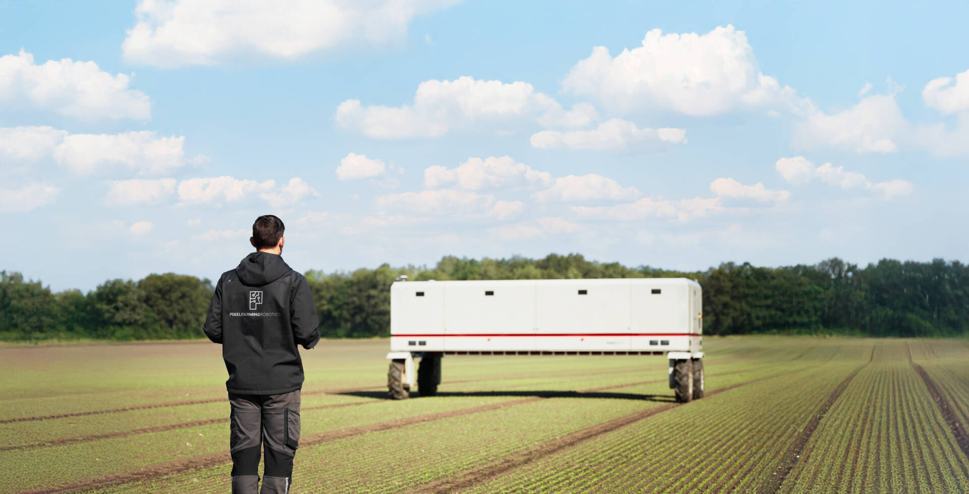 Robot One 520 lasering weeds in Lettuce fields