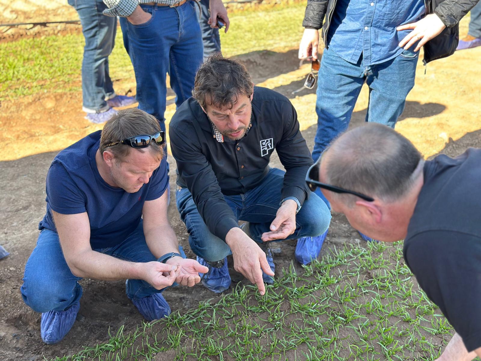 Arend Koekkoek pointing out effect of lasered weeds to growers